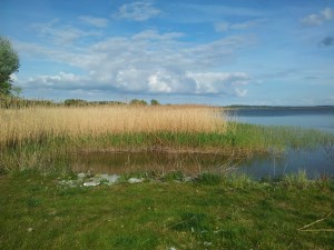 Achterwasser