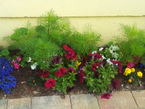 Blumen